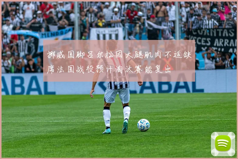 挪威国脚吕尔松因大腿肌肉不适缺席法国战役预计淘汰赛能复出