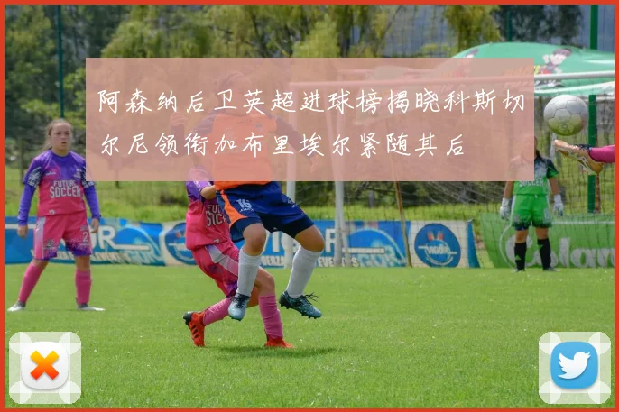 阿森纳后卫英超进球榜揭晓科斯切尔尼领衔加布里埃尔紧随其后