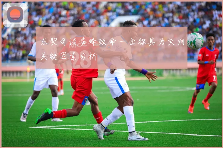 东契奇谈黄蜂致命一击称其为失利关键因素分析